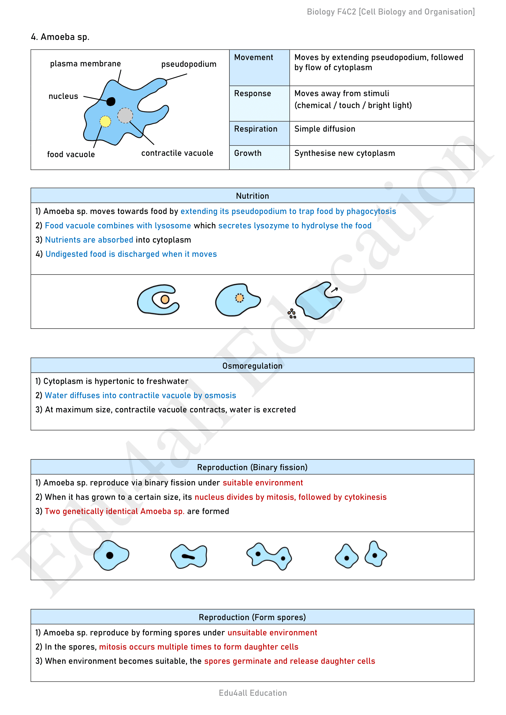 Biology mark-scheme notes sample page